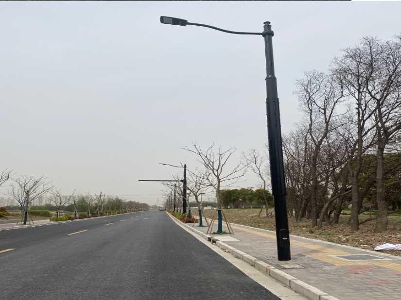饶河县上海综合杆 太阳能路灯工程